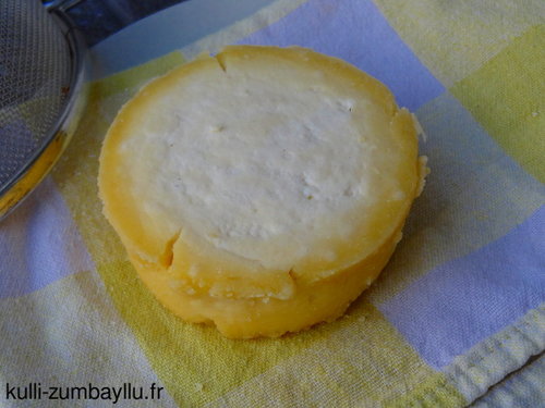 Fromage au levain biologique : Faire son fromage bio DIY au levain, sans  présure